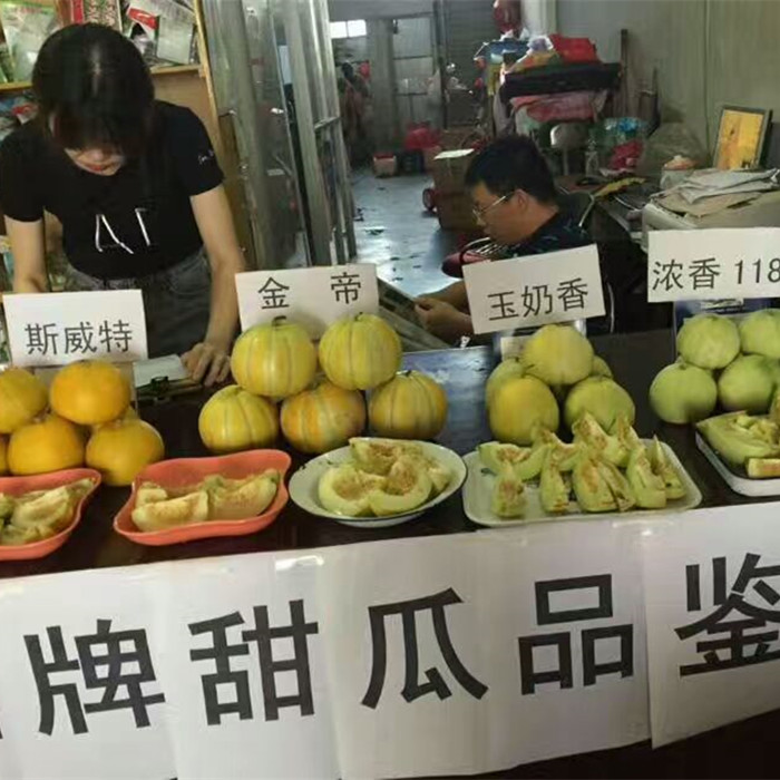 鼎牌甜瓜品鑒會（贛州）